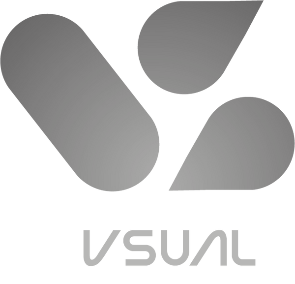 VSUAL STORE